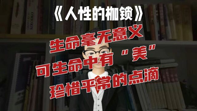 生命也许毫无意义,可生命中有美