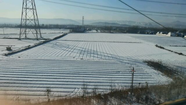 齐鲁大地淄博地区的雪