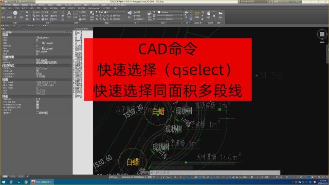 CAD命令快速选择(qselect)应用1快速选择同面积多段线