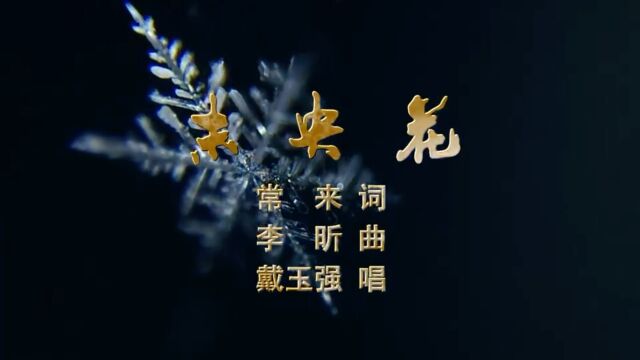 《未央花》由音乐人常来作词,我国著名作曲家李昕作曲,男高音歌唱家戴玉强倾力演唱.