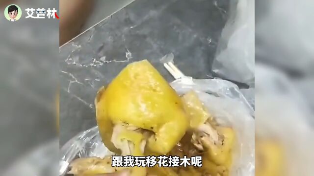 人工制作假羊腰子过程,真是长见识了