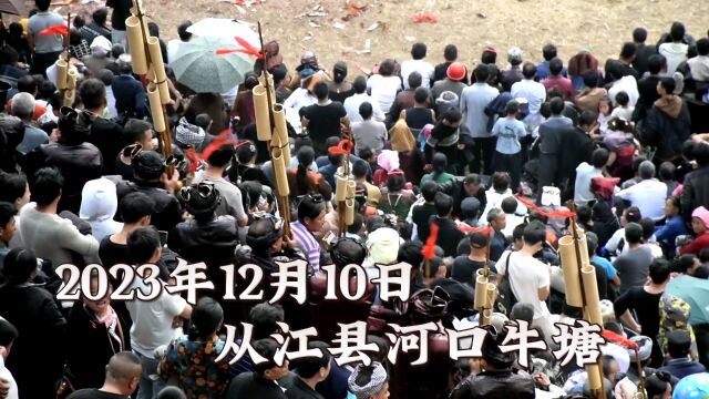 2023年12月,从江县河口牛塘民间娱乐斗牛,场面太热闹了.