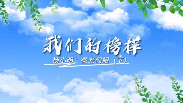 【品牌宁夏】我们的榜样——杨小明:微光闪耀(下)