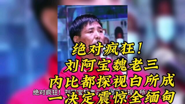 绝对疯狂!刘阿宝魏老三内比都探视白所成,一决定震惊全缅甸