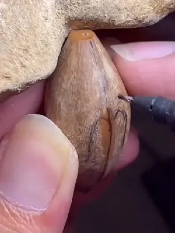 文玩 #核雕 #胡小兰 #精工细作 #纯手工制作