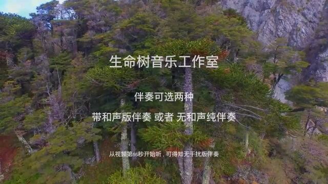 徐茜 张夏悦 张志刚 赵越 人民公安永远忠于党 高清伴奏 政法干警永远忠于党 带和声伴奏