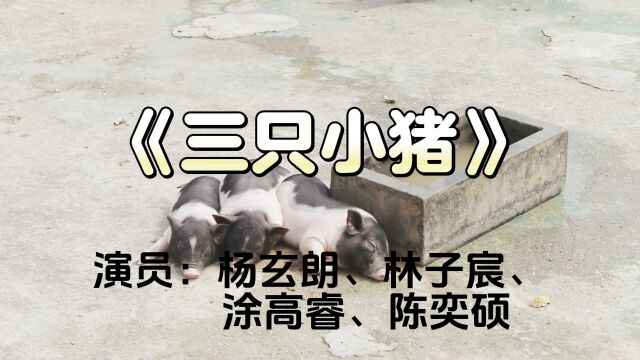 三只小猪