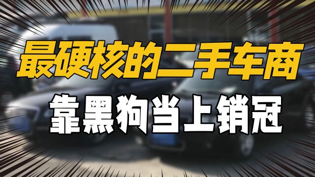 最硬核的二手车商,凭借一只黑狗稳坐销冠位置,网友:买过都说好