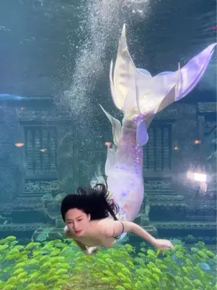 可爱之人必有可爱之处#北海海底世界 #王丸丸美人鱼