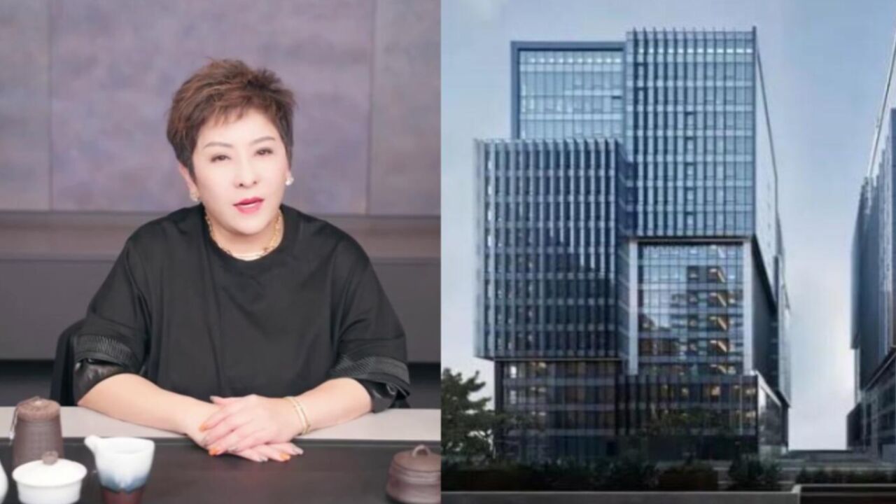 向太将出售耗时十年建成的豪宅,内景奢华显高级,价格让人望而却步_高清1080P在线观看平台_腾讯视频