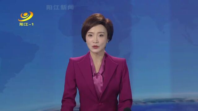 贯彻落实省委全会精神的阳江答卷——大力打造阳江特色现代化海洋