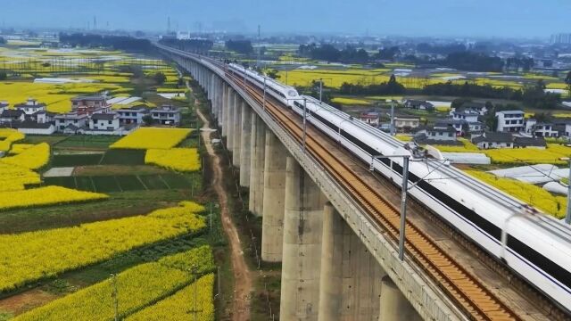 检察文化100秒|四川省乐山市检察院:山水乐检 嘉美人和