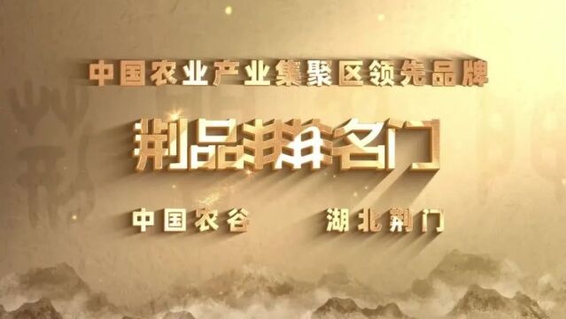 品牌赋能,让更多荆品跻身名门——“荆品名门”品牌协会2023年工作纪实