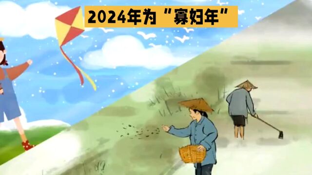 2024年是传说中的“寡妇年”