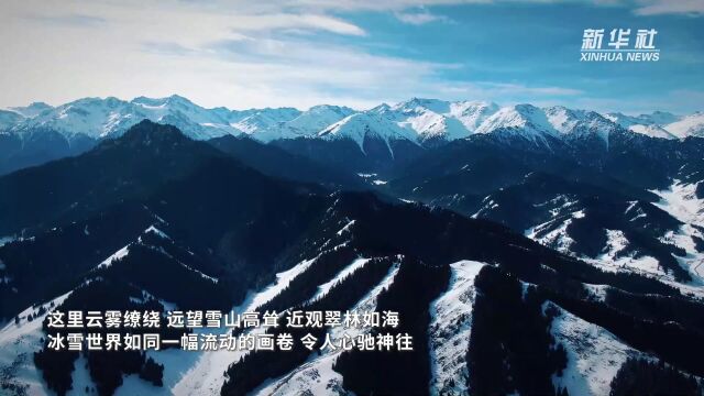 千城胜景|新疆吉木萨尔:雪停林愈翠 雾散山愈青