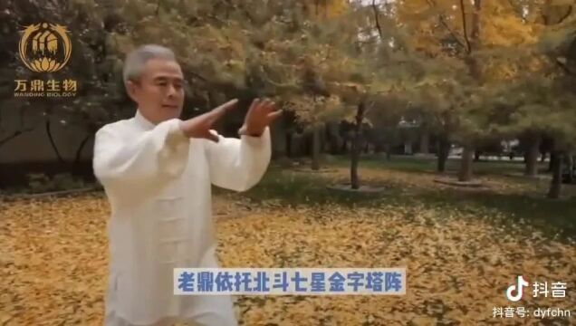 北斗七星神功转世,仙风道骨投资暴雷