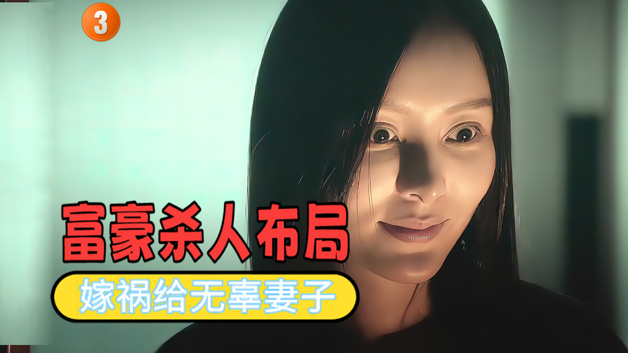 局中局亿万富豪陷害妻子杀人入狱