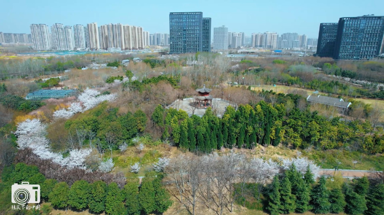 郑州南环公园地址图片