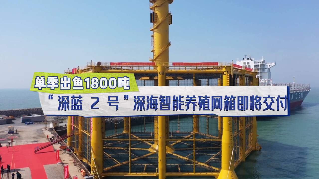 "深蓝2号"深海智能养殖网箱即将交付