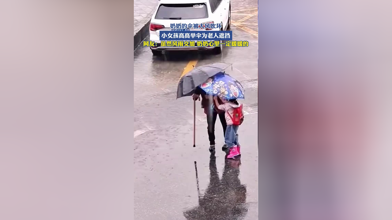 奶奶的伞被大风吹坏,小女孩高高举伞为老人遮挡,网友:虽然风雨交加