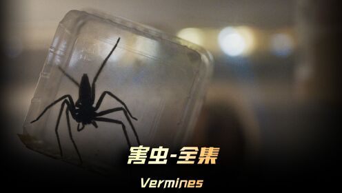 《害虫》全集,密集恐惧症者请绕道,一只沙漠蜘蛛被带回了城镇,没想到