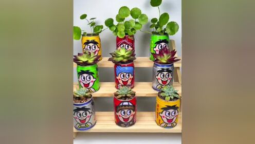 饮料罐子没想到种上花这么可爱,爱了爱了 #生活小妙招 #变废为宝