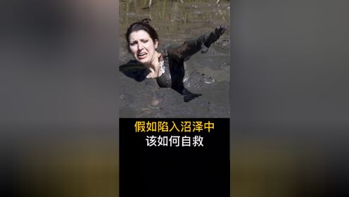 陷入沼泽1图片