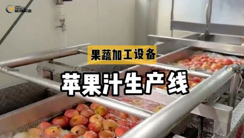 苹果汁生产线是什么样的?