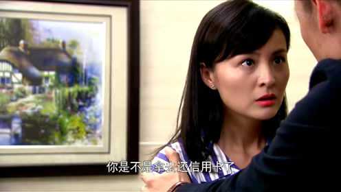 幸福媳妇成长记 39集