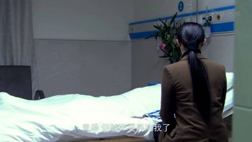 《青果巷》第34集精彩片花