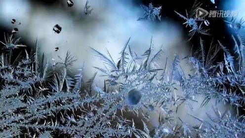 实拍冰窗花形成过程 形态各异美轮美奂