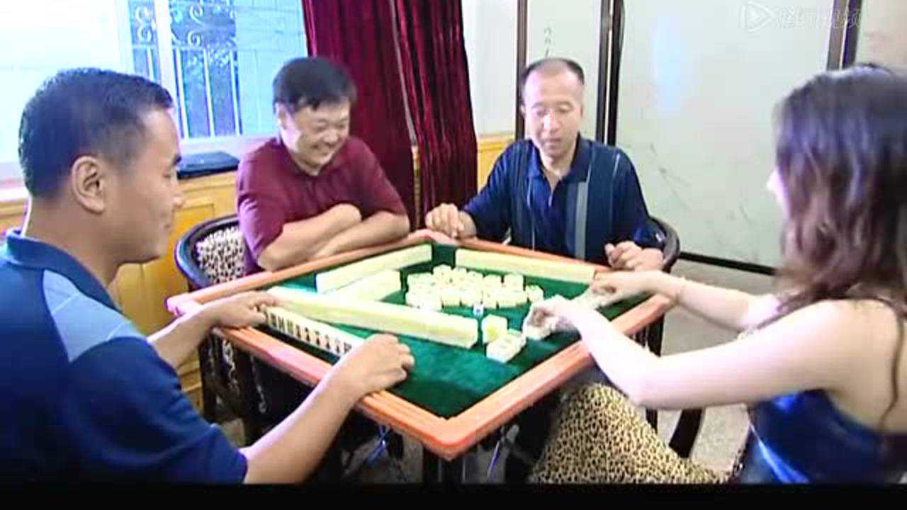 柳树屯 17集