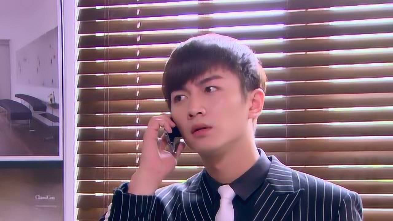 遇见爱情的利先生 17集
