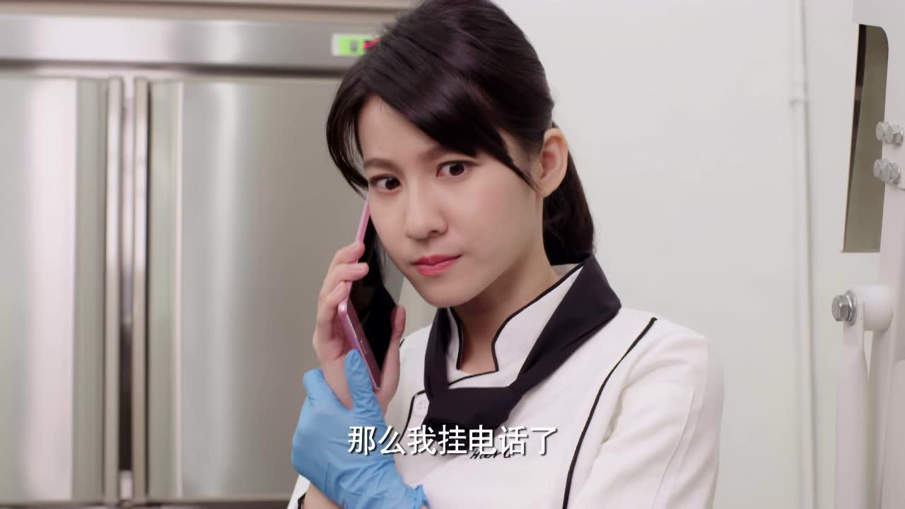 如朕亲临 20集