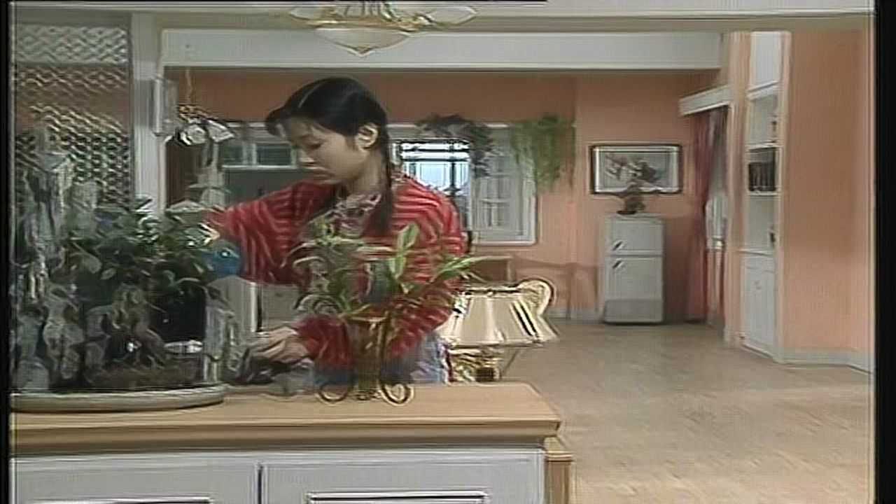 家里比较烦 5集