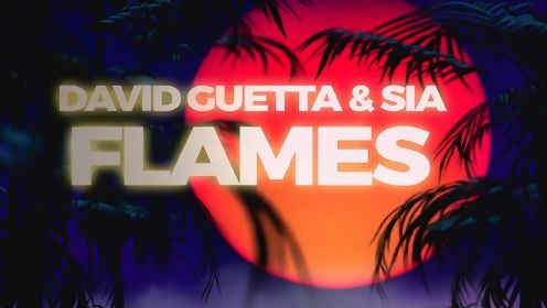 David Guetta、Sia《Flames》歌词版