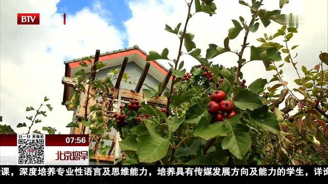 首届北京平谷农业科技创新发展高峰论坛举办