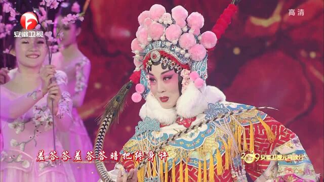 韩再芬演唱黄梅戏《百花赠剑》选段,感受地方戏剧独特魅力