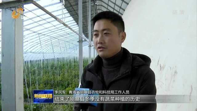 山东援青:立足急需 推动智力支援提档升级