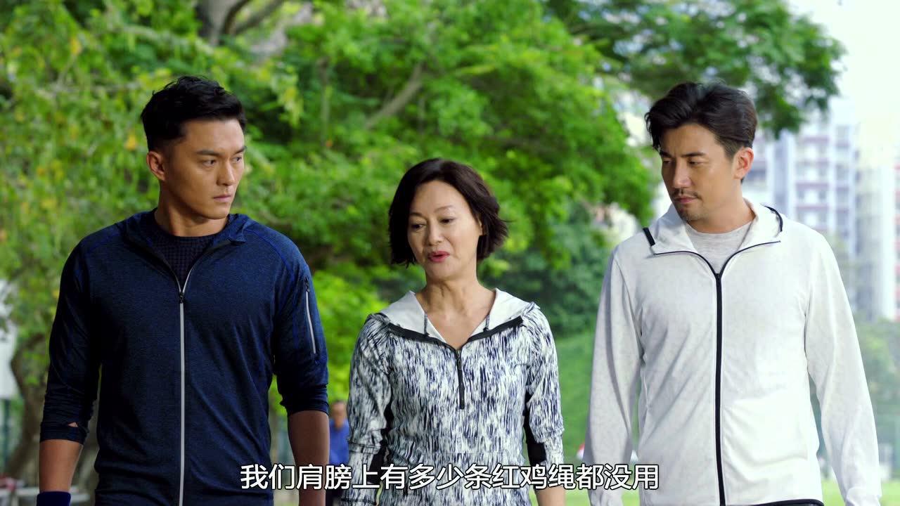 铁探[普通话版] 24集