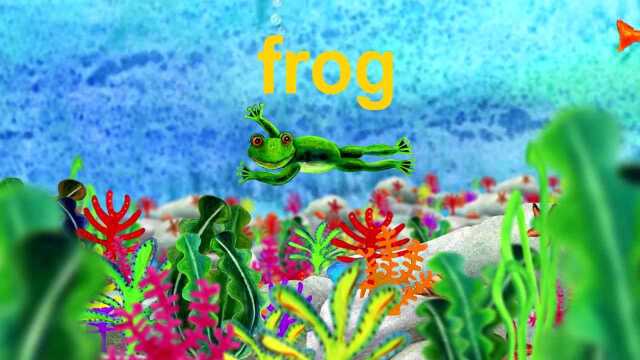 fish frog  lower case alphabet \