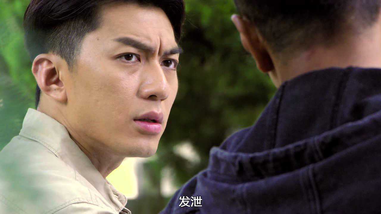 铁探[普通话版] 21集