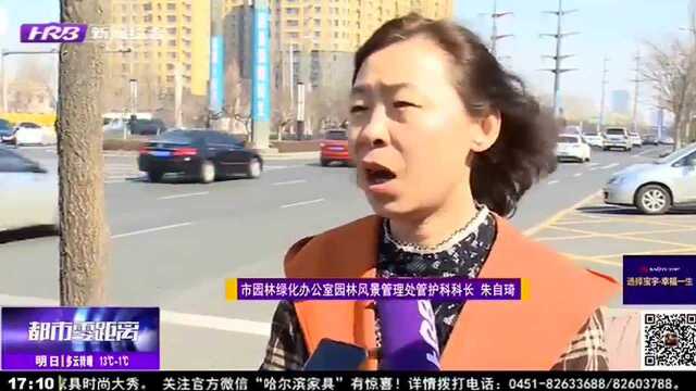 春暖时节忙修剪 提升城市绿化品质