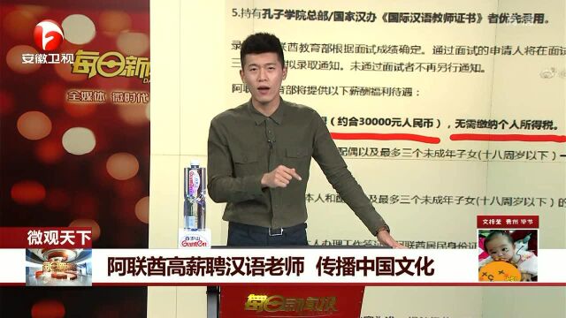 阿联酋高薪聘汉语老师 传播中国文化