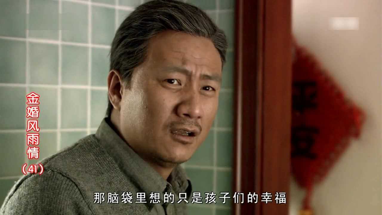 金婚风雨情 41集