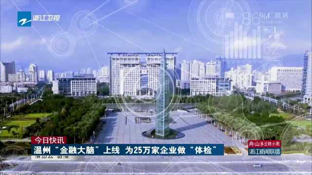 今日快讯:温州“金融大脑”上线 为25万家企业做“体检”