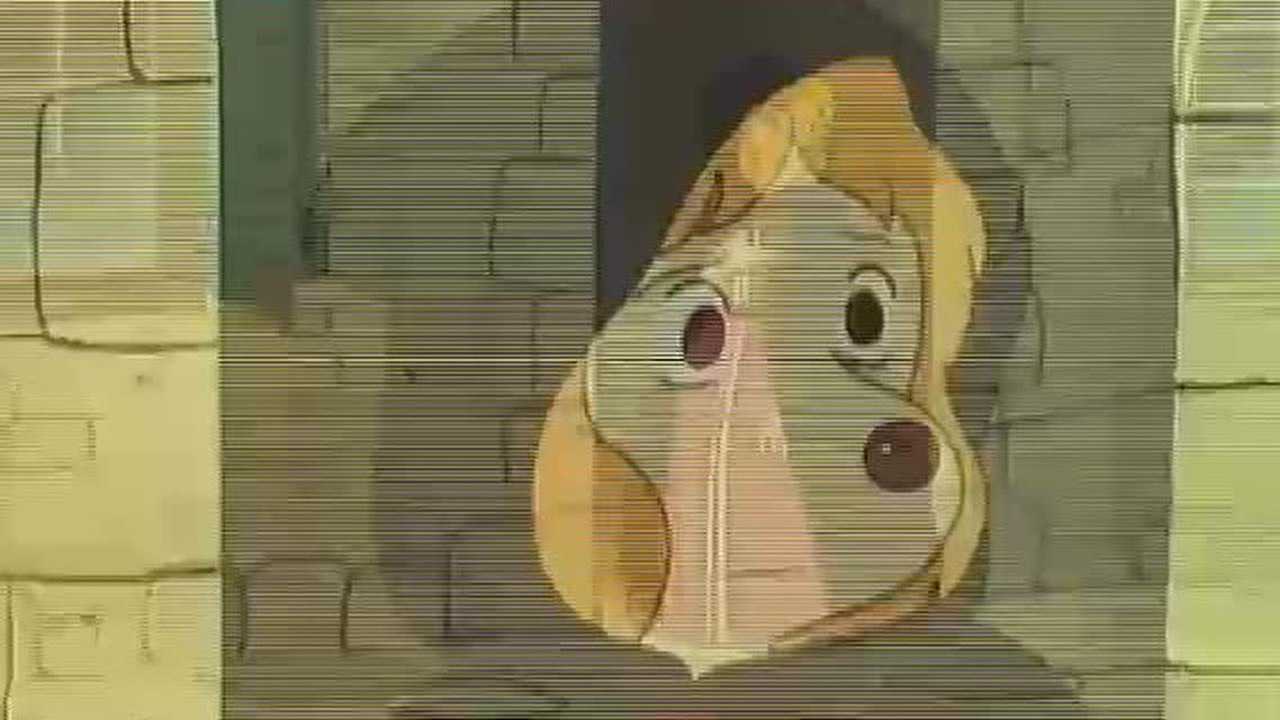 三个火枪手 13集