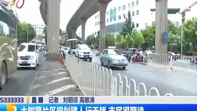 大树营片区规划建人行天桥 市民很期待