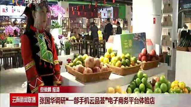 张国华调研“一部手机云品荟”电子商务平台体验店