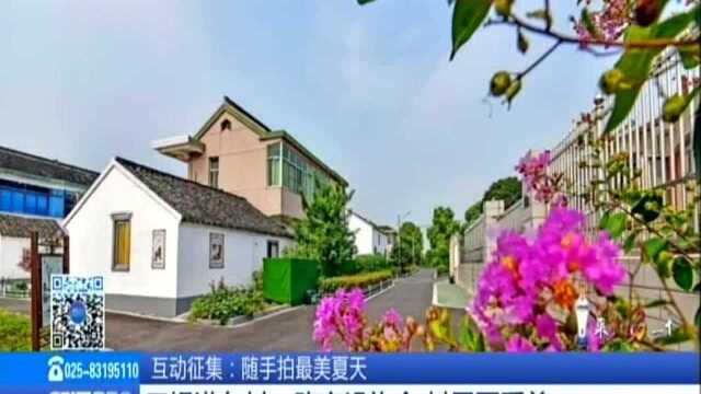 无锡港东村:路宽设施全 村民更爱美